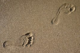 iStock_000005585683Medium-e1391207071709