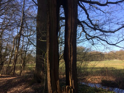 9A905A62-5301-43D2-BABC-1D610C1A3804