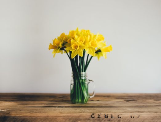 annie-spratt-gxqcelcni2u-unsplash