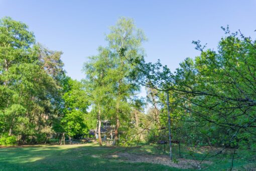 nivonhuis bosklooster retraite in de natuur zijn vol zin Laura Jonker