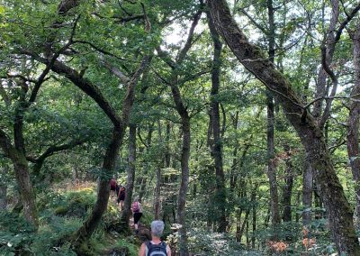 stilte retraite in de Ardennen zijn vol zin sjamanistische retraite yoga en meditatie bosklooster