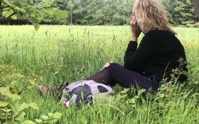Zintuïtie: Jouw levenszin achter het stuur