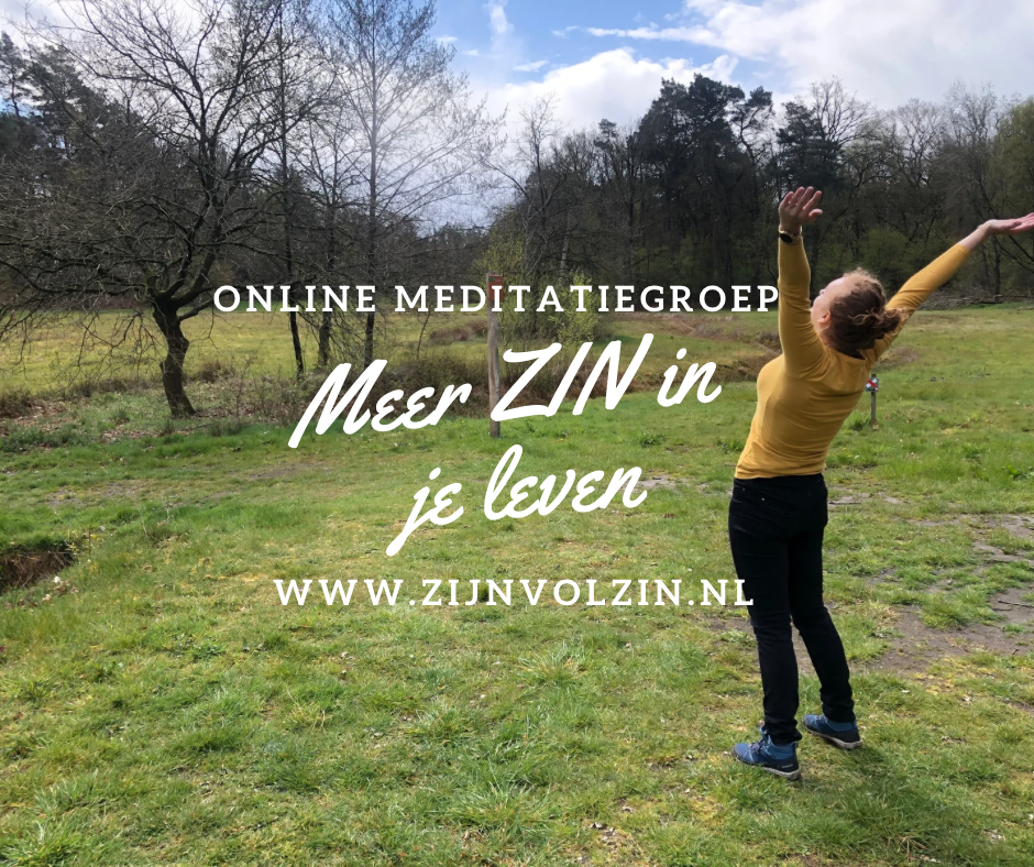 online meditatiecursus meer zin in je leven