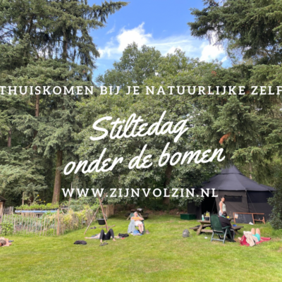 stiltedag in de natuur stilte onder de bomen
