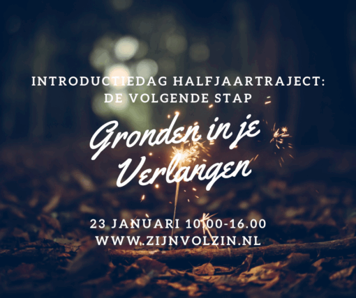 de volgende stap zijn vol zin Laura Jonker wageningen gronden in je verlangen coaching bosklooster