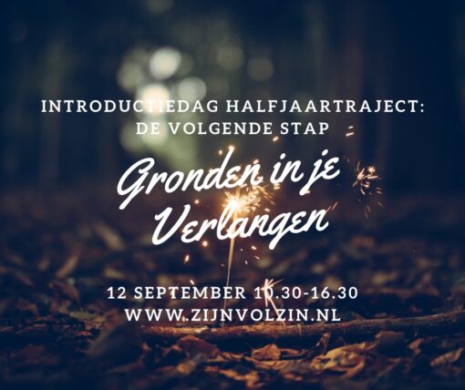 Gronden in je verlangen pad van zinleving laura jonker wageningen zijn vol zin introductie de volgende stap