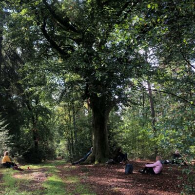 natuur retraite yoga meditatie sjamanisme laura jonker zijn vol zin bosklooster