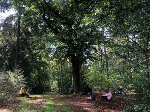 natuur retraite yoga meditatie sjamanisme laura jonker zijn vol zin bosklooster