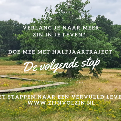 de volgende stap