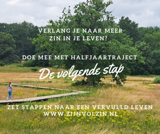 de volgende stap